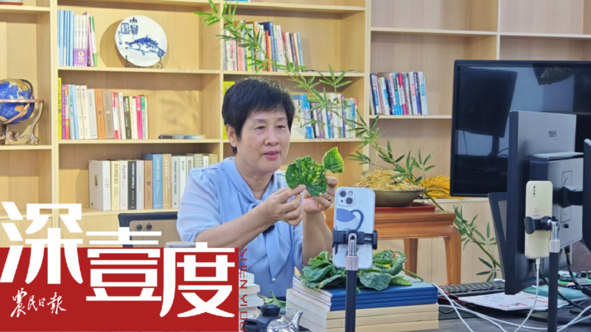 農(nóng)技推廣：從“田頭”到“云端”